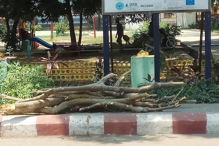 Trees cutting down at the front of U Ottama's Park on April 22, 2019.Photo - Thazin